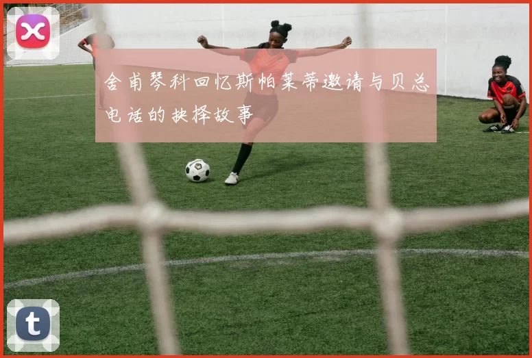 舍甫琴科回忆斯帕莱蒂邀请与贝总电话的抉择故事