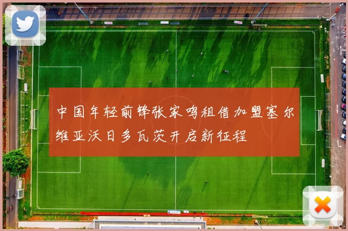 中国年轻前锋张家鸣租借加盟塞尔维亚沃日多瓦茨开启新征程